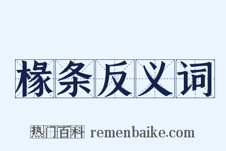 椽条反义词是什么意思的图片